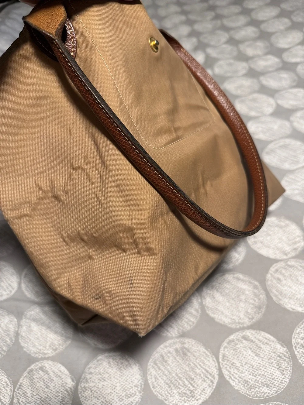 Tan Longchamp with Brown Trim